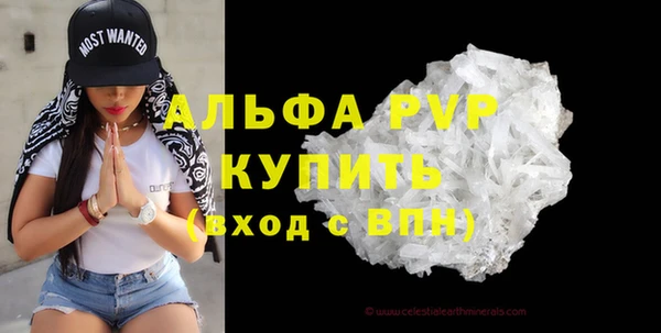 твердый Богданович