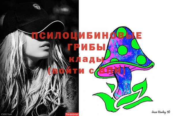 бутират Богородицк