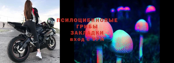 бутират Богородицк
