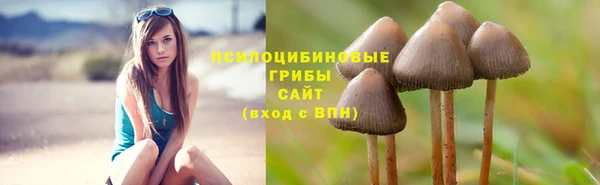 бутират Богородицк